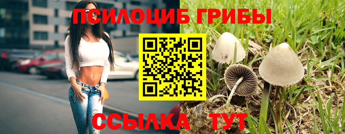 Галлюциногенные грибы мицелий  Вход с VPN  Нефтеюганск 
